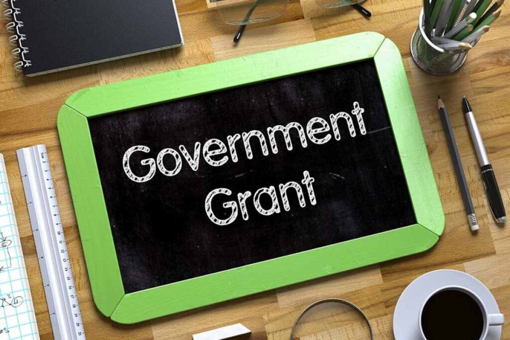 Government Grants