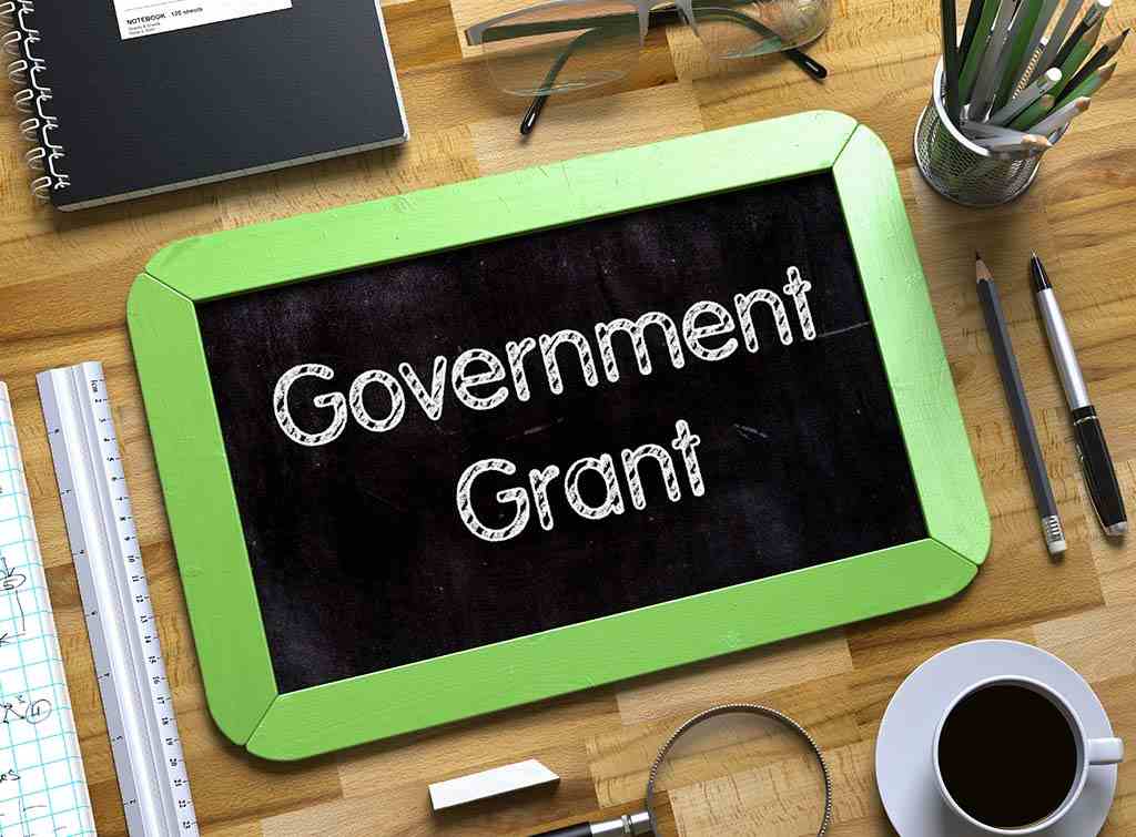 Government Grants